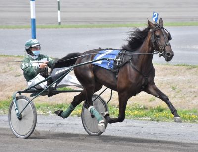 X O X O in full stride at H3R for owner, breeder, driver Jerome Lombart