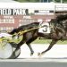 It’s Academic to defend crown in $100,000 Tom Aldrich Trot 1 It's Academic and driver Chris Page
