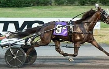 No Lou Zing and driver Josert Fonseca