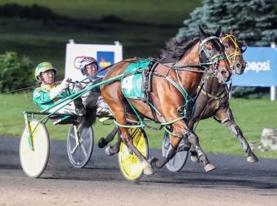 Shartin N and driver Tim Tetrick