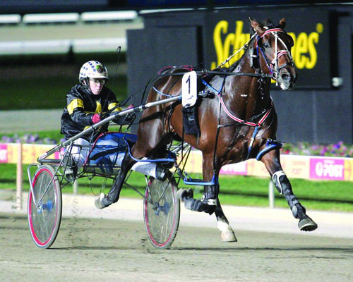 Another Group winner by Renaissance Man