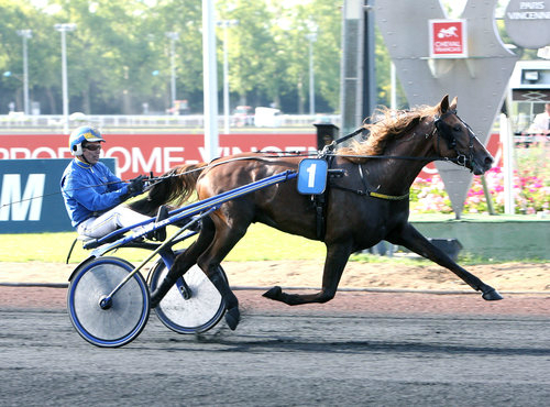 Breed a trotter promo could boost sales