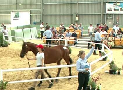 Outpouring of support for southern consignors