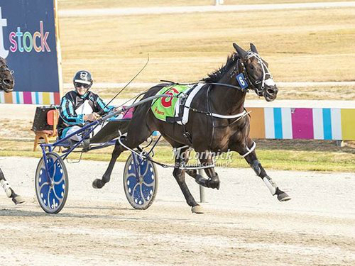 Horror Oaks draw opens door for rivals