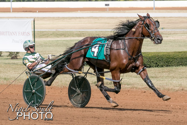 Cattlewash breeding donated to HHYF 1 Cattlewash