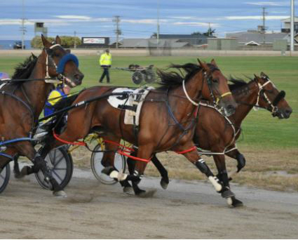 Burnie Harness Cup retains country spirit