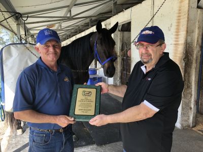 A conversation with John Hallett – Harnesslink