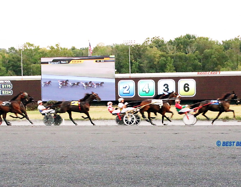 Four-Month harness meet begins at Rosecroft