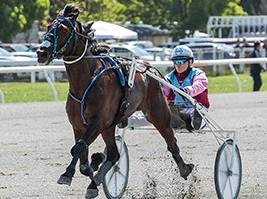Ashburton to host $720,000 race day