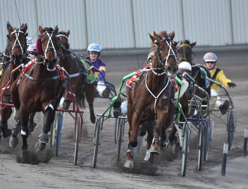 Derby win would mean the world to Mario Magri