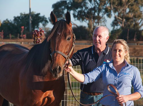 A link in the changing of the breed