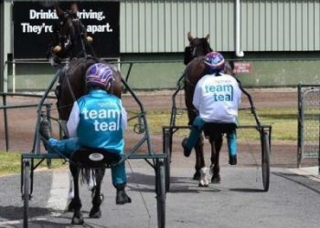 Two female drivers, Kate Gath and Kerryn Manning, hit the track at Horsham for one of the final fundraiser meetings - Kerryn contributed another two victories for Team Teal