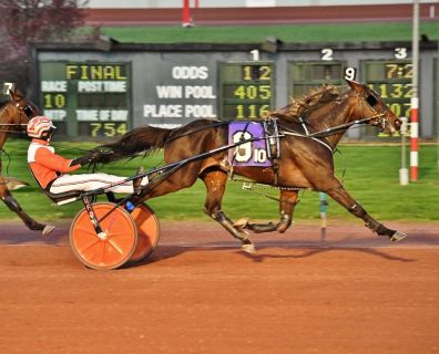 Top Me Off crosses the line in the Bobby Weiss Trotting Series Final