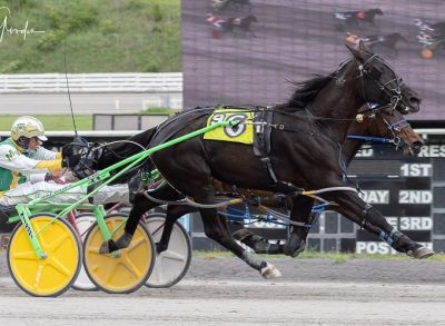 All Day Sunshine (#6) and driver Mike Wilder hold off Amelia’s Courage A at the wire