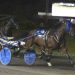 Bugsy Maguire goes for Summerside double 2 Bugsy Maguire rules at Red Shores