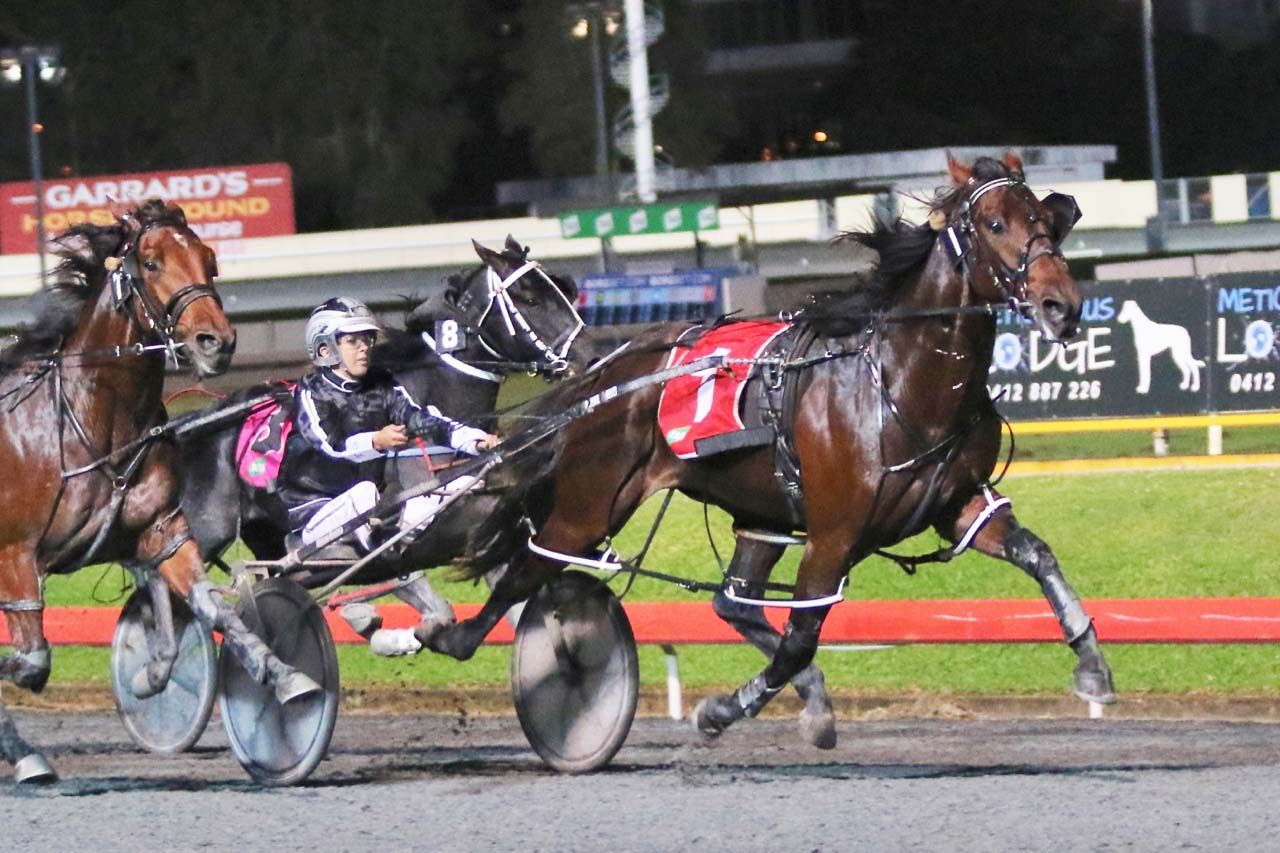 Class To The Max wins APG Gold Bullion Final at Albion Park – Dan Costello Photography