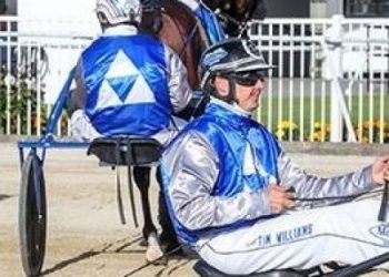 Cullen ranks Addington two-year-olds