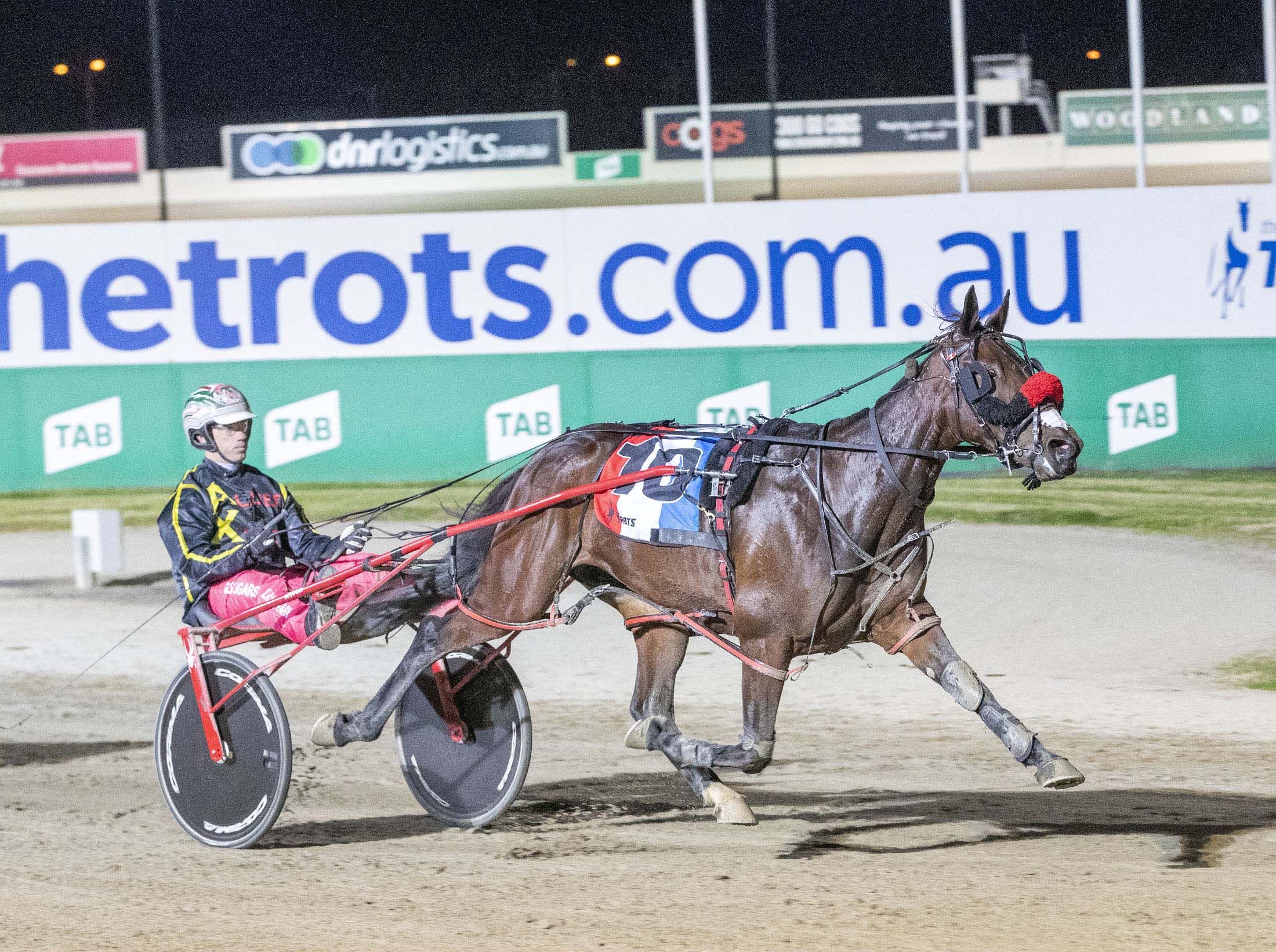 Michelle Lee Mac wins APG 4YO Mares Final at Melton – Stuart McCormick photo