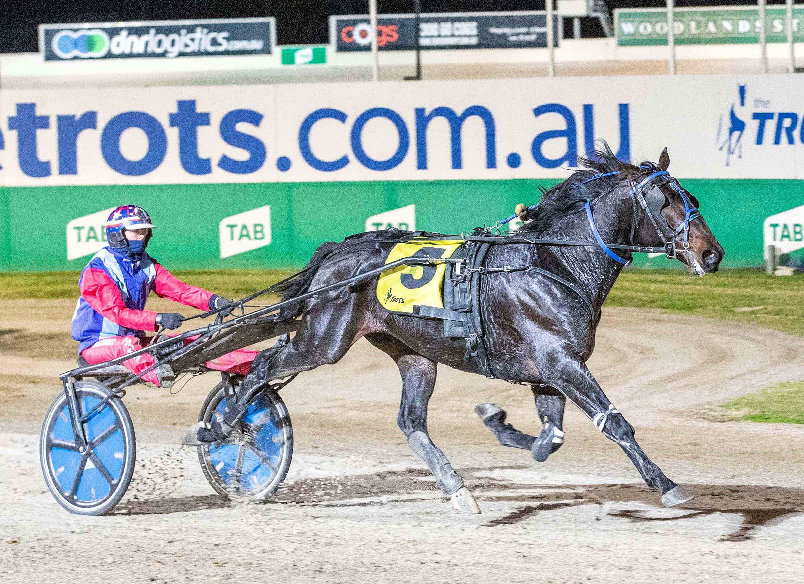 Plymouth Chubb winning Group 1 Vicbred Home Grown 2YO Colts Classic at Melton. Stuart McCormick photo