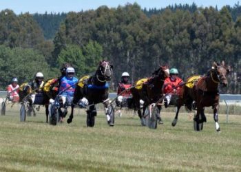 Grasstrack racing a massive success