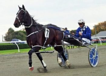 Pembrook Playboy warming up with Nathan Williamson