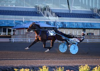 First Road to the NA Cup rankings released