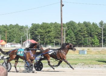 Call Me Maverick shakes free in MSBS