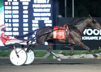 Macdonell captures Mohawk features