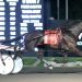 Macdonell captures Mohawk features