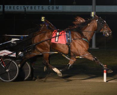 Pettycoat Business winning the M Life Rewards Series final at Yonkers Raceway