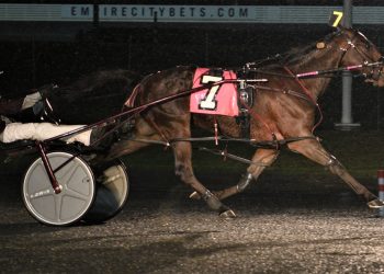 Dragon Said declares six straight wins