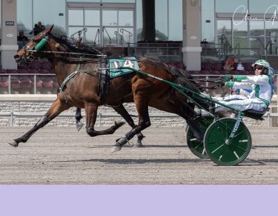 Franklin County (#4) and trainer-driver Wilbur Yoder hold off Wholelotatrot