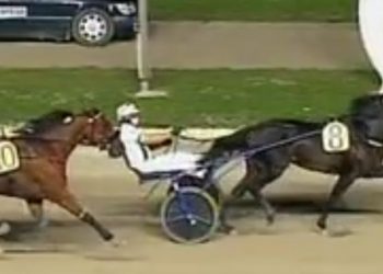 Groupe tests at Padova, Italy