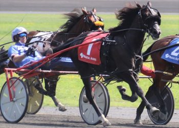 Magical Acres- Paula Wellwood has double