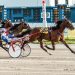 NYSS fillies go at Buffalo Raceway