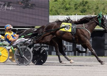 Time off doesn’t hurt Rainbowinthewest