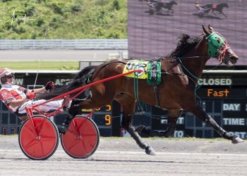 Another easy score for Hesohot Hanover