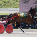 Another easy score for Hesohot Hanover