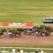 Feerie Wood wins Prix New York