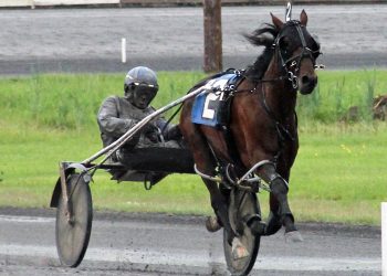 Monticello Open declared non-wagering