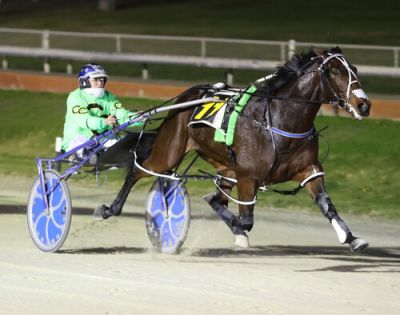 Akuta (NZ) dominates his first Group One win in the $140,000 Garrard’s Sires Stakes Series Final (1980m).