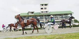 Southern Harness club news