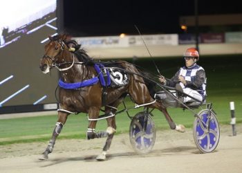 Telfer pondering “to lead or not to lead?”