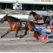Leon Bailey scores seven winners 2 Leon Bailey winning with Badix Hanover, one of Baley's seven wins on the Vernon Downs card