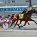 Bluebird Jesse Triumphs Tuesday