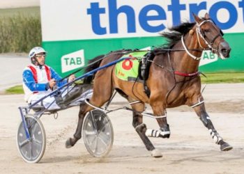 Bondi gets thrown into the deep end