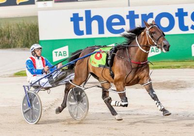 Boy From Bondi is one to follow at Tabcorp Park Melton tonight (Saturday).