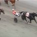 Captain Krupnik winning for driver Dexter Dunn at Harrah's Philadelphia