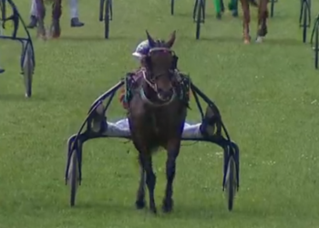 Carlita Girl captures Trophee Vert seventh leg