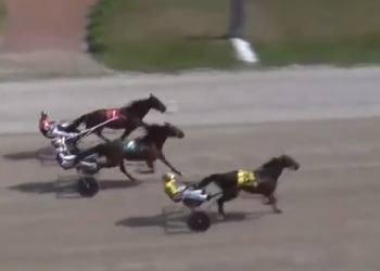 Carsons Shadow casts shade over rivals